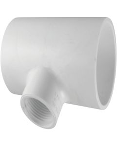 Charlotte Pipe 3/4 In. Solvent Weld x 1/2 In. FIP Schedule 40 PVC Tee