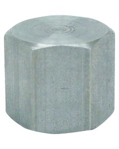 Anvil 1/8 In. Malleable Iron Galvanized Cap