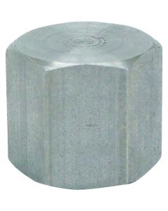 Anvil 1/4 In. Malleable Iron Galvanized Cap