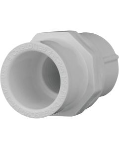 Charlotte Pipe Female Schedule 40 1/2 in. PVC Adapter