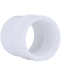 Charlotte Pipe 1-1/4 In. Schedule 40 Female PVC Adapter