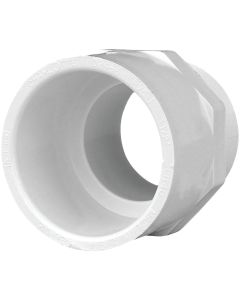 Charlotte Pipe 1-1/2 In. x 1-1/2 In. Schedule 40 Male PVC Adapter