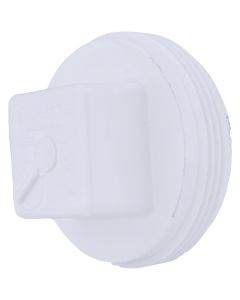 Charlotte Pipe 2 In. Schedule 40 DWV Cleanout PVC Plug