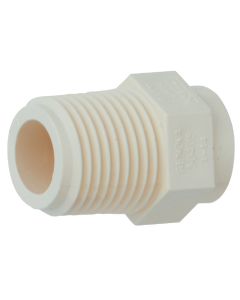 Charlotte Pipe 1/2 In. Male Thread to CPVC Adapter