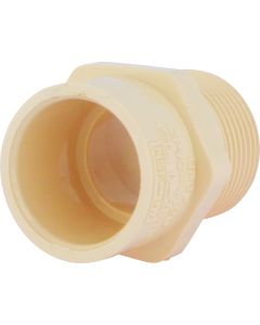 Charlotte Pipe 3/4 In. Male Thread to CPVC Adapter