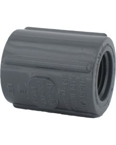 Charlotte Pipe 1/2 In. FIP x FIP PVC Coupling