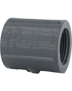 Charlotte Pipe 3/4 In. FIP x FIP PVC Coupling