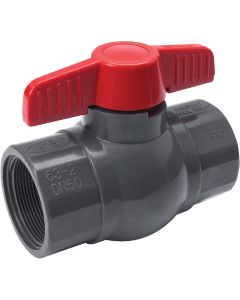 ProLine 2 In. FIP X 2 In. FIP PVC Quarter Turn Ball Valve