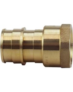 Apollo Retail 3/4 In. Barb x 1/2 In. FNPT Brass PEX Adapter, Type A