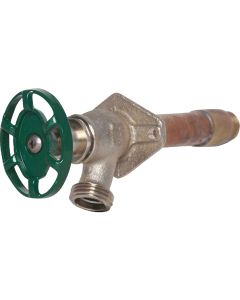 Arrowhead Brass 1/2 In. FIP x 3/4 In. MIP x 10 In. Standard Frost Free Wall Hydrant