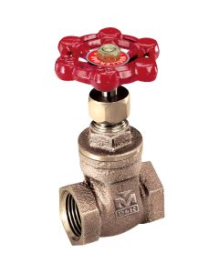 1/2" Fip Gate Valve