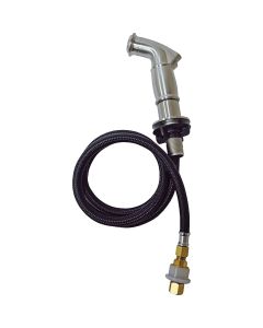 Danco 48 In. Chrome Side Sprayer & Hose