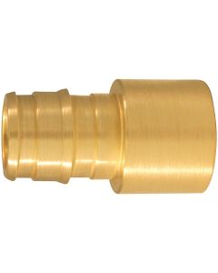 Apollo Retail 3/4 In. Barb x 3/4 In. FNPT Brass PEX Adapter, Type A