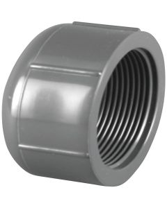 Charlotte Pipe 1/2 In. FIP Schedule 80 Threaded PVC Cap