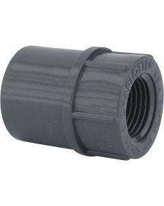 Charlotte Pipe 1/2 In. Schedule 80 Female PVC Adapter