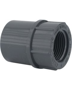 Charlotte Pipe 3/4 In. Schedule 80 Female PVC Adapter