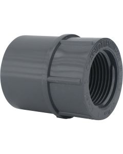 Charlotte Pipe 1 In. Schedule 80 Female PVC Adapter