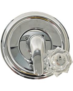 Danco Universal Delta Tub and Shower Trim Kit, Chrome