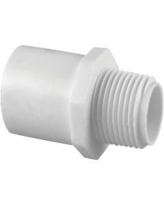 Charlotte Pipe Schedule 40 3/4 in. MPT x 3/4 in. FTP PVC Riser Extension