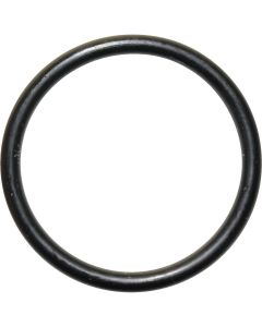 Danco #30 3/4 In. x 7/8 In. Buna-N O-Ring