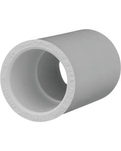 Charlotte Pipe 1/2 In. Sch. 40 PVC Coupling (10-Pack)