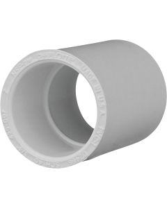 Charlotte Pipe 3/4 In. Sch. 40 PVC Coupling (10-Pack)