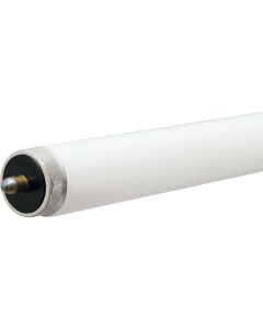 Philips 59W 96 In. Cool White T8 Single Pin Fluorescent Tube Light Bulb