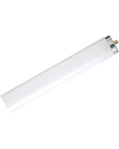 Philips 59W 96 In. Daylight T8 Single Pin Fluorescent Tube Light Bulb