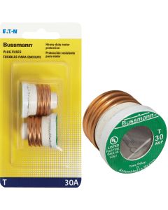 Bussmann 30A T Time-Delay Plug Fuse (2-Pack)