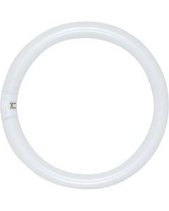 Satco 32W 12 In. Cool White T9 Circline 4-Pin Fluorescent Tube Light Bulb