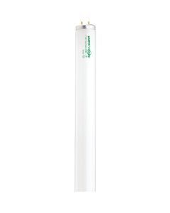 Satco 40W 48 In. Cool White T12 Medium Bi-Pin Fluorescent Tube Light Bulb