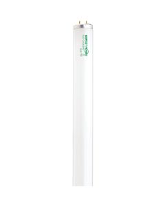 T12 48" 40w Flou Tube