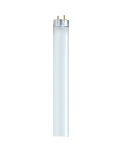 Satco 32W 47.8 In. Warm White T8 Medium Bi-Pin Fluorescent Tube Light Bulb