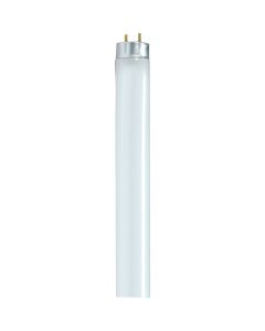 Satco 32W 47.8 In. Neutral White T8 Medium Bi-Pin Fluorescent Tube Light Bulb