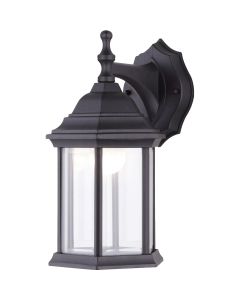 Canarm Black LED Outdoor Wall Fixture