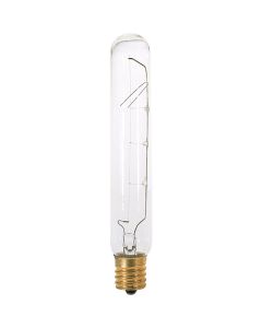 Satco 25W Clear Intermediate Base T6.5 Incandescent Tubular Appliance Light Bulb