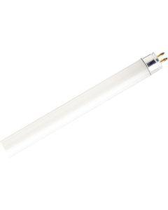 Satco 8W 11.9 In. Cool White T5 Miniature Bi-Pin Preheat Fluorescent Tube Light Bulb