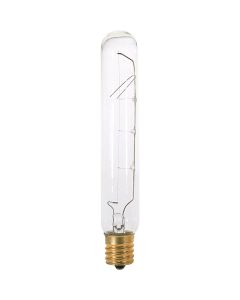 Satco 20W Frosted Intermediate Base T6.5 Incandescent Tubular Appliance Light Bulb