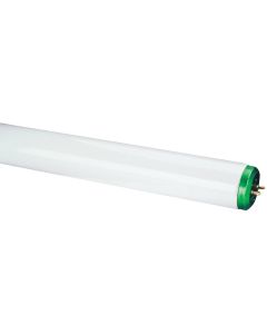 Philips 40W 48 In. Daylight Deluxe T12 Bi-Pin Fluorescent Tube Light Bulb (2-Pack)