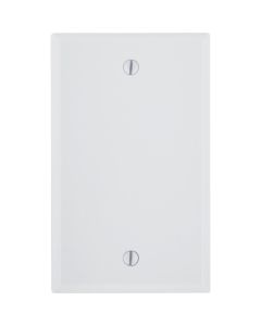 1 Gang Blank Wallplate Wht