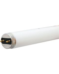 17w T8 Bw Fluor Tube