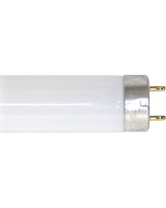 Philips ALTO 30W 36 In. Cool White T8 Medium Bi-Pin Fluorescent Tube Light Bulb