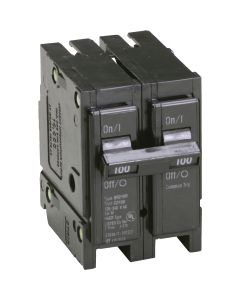 Eaton BR 100A Double-Pole Standard Trip Circuit Breaker