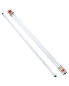 Philips ALTO 32W 48 In. Bright White T8 Medium Bi-Pin Fluorescent Tube Light Bulb (2-Pack)