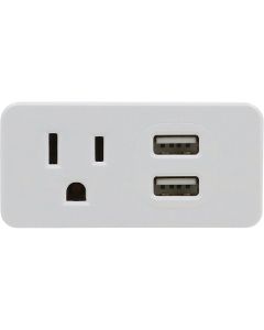 Prime Wire & Cable White 15A 1-Outlet Wall Tap With 2 USB-A