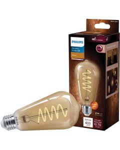 Philips Vintage 60W Equivalent Amber ST19 Medium LED Decorative Light Bulb