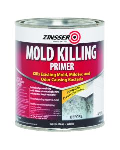 Zinsser Mold Killing Primer Qt