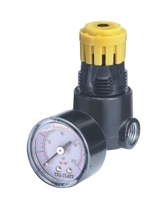 24-444 Mini Regulator 1/4"