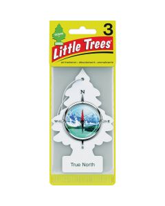 Little Trees Car Air Freshener, True North