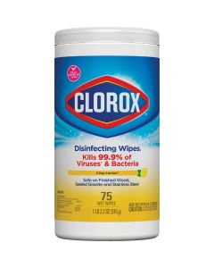 Disinfecting Wipes 75 Ct